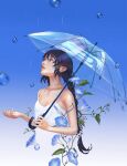 1girl bangs bare_shoulders black_hair blue_background blue_eyes blue_flower braid braided_ponytail breasts cleavage collarbone commentary commentary_request day dress english_commentary flower gradient_background hair_between_eyes highres holding holding_umbrella lal!role looking_up mixed-language_commentary original outstretched_hand parted_bangs parted_lips rain see-through sidelocks sleeveless sleeveless_dress small_breasts solo transparent transparent_umbrella umbrella water_drop white_background white_dress 