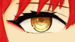  absurdres chainsaw_man close-up eye_focus highres looking_at_viewer makima_(chainsaw_man) non-web_source orange_eyes red_hair 
