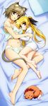  absurdres animal animal_ears arf bare_legs barefoot bed blonde_hair blue_eyes blush bow bow_panties breasts brown_hair cleavage dakimakura fate_testarossa feet green_panties green_shirt hair_bow highres hug linith long_hair lyrical_nanoha mahou_shoujo_lyrical_nanoha mahou_shoujo_lyrical_nanoha_the_movie_1st medium_breasts multiple_girls navel no_pants non-web_source nyantype official_art okuda_yasuhiro open_mouth panties red_eyes shirt short_hair small_breasts tail tank_top twintails underwear underwear_only 