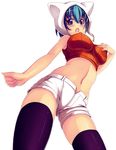  animal_ears bad_id bad_pixiv_id blue_eyes blue_hair breasts cleavage copyright_request from_below hat kisaragi_yakumo large_breasts navel short_hair shorts solo sweater thighhighs 