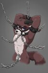  anthro arm_cuffs balls bdsm black_nose blue_eyes bondage bound brown_body brown_fur brown_tail chain chained chastity_cage chastity_device countershade_face countershade_torso countershading cuff_(restraint) edward_alrik_of_ravenwood eyebrows fur genitals gloves_(marking) grey_body grey_fur hands_behind_head hi_res horn leather_cuffs looking_at_viewer male mammal markings navel nipples phrozt pink_nipples procyonid raccoon restraints ring_(marking) ringtail solo submissive submissive_male tail tail_markings white_body white_fur wrist_cuffs 