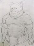  absurd_res anthro bulge canid canine canis clothed clothing hi_res humanoid ichinoseura male mammal muscular muscular_anthro muscular_male shirt smile smiling_at_viewer solo solo_focus topwear underwear wolf 