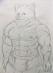  abs absurd_res anthro big_muscles big_pecs bulge canid canine canis clothed clothing hi_res humanoid ichinoseura male mammal muscular muscular_anthro muscular_male nipples pecs smile smiling_at_viewer solo solo_focus underwear wolf 