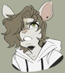  anthro antoine_(ribr0t) bust_portrait chinchilla chinchillid clothed clothing colored_sketch digital_media_(artwork) glaring hair hair_over_eye hoodie long_hair looking_up low_res male mammal one_eye_obstructed piercing portrait ribr0t rodent sketch solo topwear young 