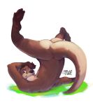  anthro anus ass_up brown_body brown_eyes brown_fur butt feet fur hi_res looking_at_viewer lying male mammal mustelid on_back otter simple_background skrawl solo tail thick_tail upside_down 