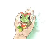 1other berry_(pokemon) bitten bug caterpie caterpillar commentary eating holding holding_pokemon looking_at_viewer pokemon pokemon_(creature) shadow ssalbulre white_background 