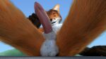  3d_(artwork) anthro balls blender_cycles blue_eyes brown_hair canid canine digital_media_(artwork) fox fur genitals hair hi_res looking_at_viewer looking_up macro male mammal orange_body orange_fur penis presenting presenting_penis red_fox red_penis sitting size_difference solo white_body white_fur xavier_(zmaster587) xavierbigfox zmaster587 