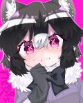  1girl absurdres animal_ears black_bow black_bowtie black_gloves black_hair blush bow bowtie common_raccoon_(kemono_friends) crying crying_with_eyes_open gloves highres jmeysan kemono_friends looking_at_viewer parted_lips pink_eyes raccoon_ears raccoon_girl short_hair solo symbol-shaped_pupils tears upper_body white_hair x-shaped_pupils 