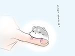  fingers hamster mouse original saiko_(saico) translated 