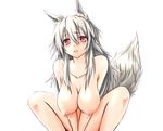  animal_ears breasts fox_ears fox_tail hanging_breasts highres large_breasts mitsuru_(madeinore) nipples nude original red_eyes silver_hair solo squatting tail 