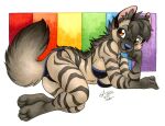  2022 aardwolf anthro black_body black_fur black_hair breasts brown_eyes clothing female fur grey_body grey_fur hair hyena mammal michele_light rainbow_background simple_background solo swimwear 