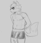  anthro big_penis bottomwear boxers_(clothing) canid canine clothed clothing digital_media_(artwork) eyewear fox genitals glasses golde hair hands_behind_back male mammal monochrome navel penis poking_out scott_(golde) sketch solo topless underwear 