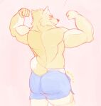  2015 5_fingers anthro arms_bent back_muscles bar_emanata biceps blue_bottomwear blue_clothing body_with_emanata bottomwear canid canine clothed clothing digital_drawing_(artwork) digital_media_(artwork) dipstick_tail erection erection_under_clothing fingers flexing fox fur gym_bottomwear gym_clothing gym_shorts looking_at_viewer looking_back male mammal markings muscular muscular_male nobodyshouse pink_background portrait rear_view shorts simple_background smile solo tail tail_markings tan_body tan_fur three-quarter_portrait topless topless_male yellow_eyes 