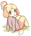  accessory animal_crossing anthro blush bottomwear breasts canid canine canis clothed clothing digital_media_(artwork) domestic_dog female fingers fur grass hair_accessory hair_bell isabelle_(animal_crossing) looking_back mammal nintendo open_mouth pink_bottomwear pink_clothing pink_shirt pink_shorts pink_topwear plant shih_tzu shirt shorts simple_background sitting solo topwear toy_dog yellow_body yellow_fur yokikana_yk 