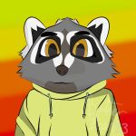  1:1 anthro digital_drawing_(artwork) digital_media_(artwork) hi_res male mammal procyonid raccoon sagedraws solo 