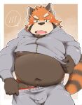  2023 ailurid anthro belly blush bottomwear brown_body bulge clothing hi_res hoodie kemo_nikomi kemono male mammal orange_body overweight overweight_male pants red_panda solo topwear 