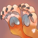  &lt;3 1:1 4_toes bear blue_claws blue_pawpads brown_background claws feet foot_focus foot_shot fur heart_(marking) light lighting mammal orange_body orange_fur pawpads pawsitively simple_background solo toes 