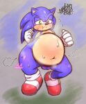  balls belly blush chubby_male genitals inflation male onechan overweight sega slightly_chubby solo sonic_the_hedgehog sonic_the_hedgehog_(series) thick_thighs 