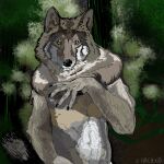  1:1 anthro black_eyes black_nose canid canine canis draw_over female forest forest_background fur fur_pattern grey_body grey_fur grey_nipples humanoid mammal moist_animal nature nature_background nipples plant solo tree wolf 
