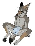  3:4 alpha_channel anthro black_nose black_pawpads brown_body brown_fur canid canine canis clothed clothing coyote daydream_(cackling-beast) diaper ears_back eyes_closed fur fur_tuft grey_body grey_fur head_tuft hi_res leaning leaning_back male mammal muzzle_scabs pasteldaydreamz pawpads pivoted_ears scar simple_background sitting smile solo solo_focus spread_legs spreading tan_body tan_fur trans_(lore) trans_man_(lore) transparent_background tuft watermark wearing_diaper whiskers 