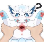  2023 4_toes 5_fingers absurd_res alolan_form alolan_vulpix ambiguous_gender ambiguous_on_feral anus bestiality blue_body blue_fur blue_inner_ear blue_nose blue_sclera blue_tail blush bodily_fluids butt butt_grab cervix clitoral_hood clitoris colored confusion digital_media_(artwork) duo faceless_ambiguous faceless_character faceless_human feet female female/ambiguous female_focus female_on_human feral feral_focus fingers first_person_view flong front_view full-length_portrait fur fur_tuft genital_fluids genitals hand_on_butt hi_res human human_on_feral human_pov humanoid_genitalia humanoid_hands humanoid_pussy inner_ear_fluff interspecies looking_at_genitalia looking_at_pussy looking_at_self looking_at_viewer lying mammal multi_tail multicolored_body multicolored_fur nintendo no_pupils on_back pawpads paws pink_anus pink_pawpads pink_pussy pokemon pokemon_(species) pokephilia portrait pussy pussy_juice quadruped question_mark regional_form_(pokemon) shaded simple_background smile solo_focus spread_pussy spreading tail tan_body tan_skin toes tuft two_tone_body two_tone_fur two_tone_tail urethra white_background white_body white_ears white_eyes white_fur white_inner_ear_fluff white_tail 