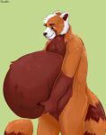  ailurid anthro belly big_belly bloated brown_body brown_eyes brown_fur brown_nose cheek_tuft facial_tuft featureless_crotch fur glistening glistening_eyes gloves_(marking) green_background head_tuft holding_belly huge_belly male mammal markings mouth_closed nude orange_body orange_fur portrait red_panda roobin signature simple_background solo standing striped_markings striped_tail stripes tail tail_markings three-quarter_portrait three-quarter_view tuft vore whiskers 