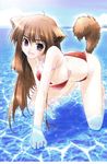  absurdres akata_itsuki all_fours animal_ears ass barefoot bent_over bikini breasts brown_eyes brown_hair cleavage downblouse fang highres large_breasts long_hair open_mouth original smile solo strap_slip swimsuit tail water 