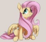 2019 dotkwa equine feathered_wings feathers female feral fluttershy_(mlp) friendship_is_magic grey_background mammal my_little_pony nude pterippus simple_background sitting solo teal_eyes wings 