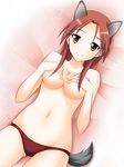  animal_ears breasts brown_eyes covering covering_breasts hyokkori_tamago large_breasts long_hair lying minna-dietlinde_wilcke navel panties red_hair smile solo strike_witches tail topless underwear underwear_only wolf_ears wolf_tail world_witches_series 