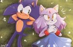  &lt;3 anthro blaze_the_cat blue_body blush clothed clothing domestic_cat dress duo eulipotyphlan felid feline felis female flower grass hedgehog hi_res love lying male male/female mammal plant purple_body sega smile sonic_the_hedgehog sonic_the_hedgehog_(series) spidercheetos 