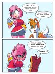  absurd_res age_difference amy_rose anthro canid canine duo eulipotyphlan female fox glassfish hedgehog hi_res imminent_sex male male/female mammal miles_prower older_female propositioning sega sonic_the_hedgehog_(series) younger_male 