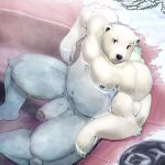  anthro bear erection foreskin genitals hot_tub male mammal penis polar_bear solo unknown_artist ursine 