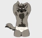  absurd_res anthro briefs briefs_only bulge canid canine canis clothed clothing fur grey_body grey_fur half-closed_eyes hi_res invalid_tag male mammal narrowed_eyes simple_background smile solo stinkydisaster tighty_whities topless underwear underwear_only white_background white_briefs white_clothing white_underwear wolf 