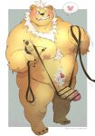  &lt;3 2023 absurd_res anthro bear belly big_belly blush dumdum erection genitals hi_res humanoid_hands kemono leash male mammal moobs nipples one_eye_closed overweight overweight_male penis solo wink 
