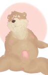  2016 anthro anus balls bear cheek_tuft chest_tuft digital_media_(artwork) erection facial_tuft foreskin front_view frown fur fur_tuft genitals head_tuft looking_down male mammal nanakuma_(nanajana7) nipples nobodyshouse nude nude_male overweight partially_retracted_foreskin penis perineum pink_penis simple_background sitting solo spread_legs spreading tan_balls tan_body tan_fur tuft white_background yellow_eyes 