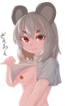 1girl absurdres animal_ears bandaid bandaids_on_nipples bangs breasts capelet capelet_lift clip_studio_paint_(medium) closed_mouth commentary_request grey_capelet grey_hair highres lenserd lifted_by_self looking_at_viewer mouse_ears mouse_girl naked_capelet nazrin pasties red_eyes short_hair simple_background small_breasts smile solo touhou translation_request upper_body white_background 
