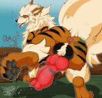  anus arcanine balls bodily_fluids butt canid canine canis domestic_dog ejaculation feral generation_1_pokemon genital_fluids genitals hi_res interspecies knot male mammal nintendo pawzzhky pokemon pokemon_(species) pokephilia precum puffy_anus solo tongue 