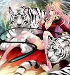  animal_ears blue_eyes breasts cleavage large_breasts long_hair original panties pink_hair sitting solo spread_legs ta_kaana thighhighs tiger underwear whip white_tiger 