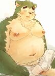  10_cosmo_24 2023 anthro balls belly big_belly blush canid canine canis domestic_dog eyes_closed flaccid genitals green_body hi_res humanoid_genitalia humanoid_hands humanoid_penis kemono lifewonders live_a_hero male mammal mokdai moobs navel nipples overweight overweight_male penis sitting solo towel 