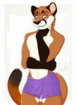  anthro blue_eyes boxer_briefs boxer_briefs_only bulge clothed clothing cougar felid feline kwik_(artist) macsen_phloudio male mammal pinup pose smile solo thinking topless underwear underwear_only 