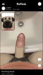 absurd_res anthro canid canine canis circumcised domestic_dog echto erection genitals hi_res humanoid_genitalia humanoid_penis male mammal penis sink 