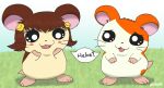  2019 accessory after_transformation blush blush_stickers brown_body brown_fur brown_hair cricetid duo female feral fur grass hair hair_accessory hairclip hamster hamtaro hamtaro_(series) laura_haruna male mammal orange_body orange_fur pichu90 plant rodent signature speech_bubble text 