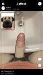  absurd_res anthro bodily_fluids canid canine canis circumcised domestic_dog echto erection genital_fluids genitals hi_res humanoid_genitalia humanoid_penis male mammal peeing penis sink urine 