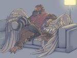  anthro apawcalyptic avian beak bird bottomless clothed clothing digital_media_(artwork) duo feathers female gryphon male male/female mammal mythological_avian mythology procyonid raccoon shirt shirt_only topwear topwear_only 