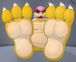  anthro erwill feet hi_res koopaling male mario_bros nintendo pawfeet paws pink roy_koopa solo 