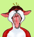 anthro black_nose bodily_fluids brown_hair bust_portrait canid cheek_tuft eyes_closed facial_tuft fangs front_view fur green_background hair male mammal mouth_shot open_mouth portrait red_body red_fur red_inner_ear red_tongue roobin saliva saliva_string simple_background solo teeth tongue tuft white_body white_fur 
