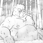  2023 anthro bamboo bear belly big_belly blush detailed_background humanoid_hands kemono male mammal moobs navel nipples outside overweight overweight_male sangguri_32 solo water wet 
