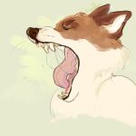  1:1 ambiguous_gender anthro bodily_fluids brown_body brown_fur brown_nose bust_portrait canid eyes_closed fangs fur hi_res mammal open_mouth portrait roobin saliva saliva_string signature simple_background solo teeth tongue white_body white_fur yawn 
