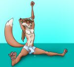  anthro balls bodily_fluids body_hair bulge canid canine clothed clothing dizzyvixen eyes_closed feet fenton_(dizzyvixen) fox genital_fluids genitals hair happy_trail long_hair male mammal nipples pawpads paws peeking_penis pink_nose ponytail precum precum_through_clothing red_fox simple_background sitting slim solo stretching tenting topless topless_male underwear underwear_only wet wet_clothing 
