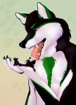  anthro black_body black_fur black_nose canid chest_tuft duo fangs foot_fetish foot_lick foot_play fur glistening glistening_eyes green_body green_fur green_pawpads hi_res leg_markings licking looking_at_another male mammal markings open_mouth pawpads purple_eyes red_tongue roobin simple_background socks_(marking) teeth tongue tongue_out tuft white_body white_fur 